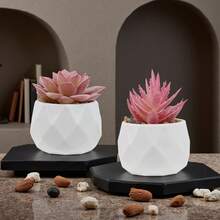 带盆多肉植物人造植物小型假盆栽人造装饰粉色仿真植物适用于客厅卧室办公室书桌书架浴室装饰人造植物