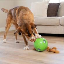 Outward Hound By Nina Ottosson Dog Snuffle N' Treat Ball Puzzle, Level 2 Intermediate, Green, Large,1Count(Packof1),SnuffleN'Treat(Green) - SnuffleN'Treat(綠色) - 查看 9