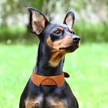 Pet Basic Dog Collars - Shirt Collar - Tan - View 3
