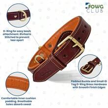 Pet Basic Dog Collars - Dark Brown - View 2