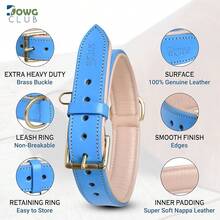 Pet Basic Dog Collars - Blue - View 3