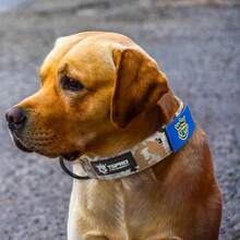 Collares de Perro Premium Collar de Perro con Asa y Hebilla de Metal de Liberación Rápida Resistente, Grueso y Ajustable para Perros Medianos a Grandes (Estampado de Leopardo L) - Caqui camuflaje - Ver 5