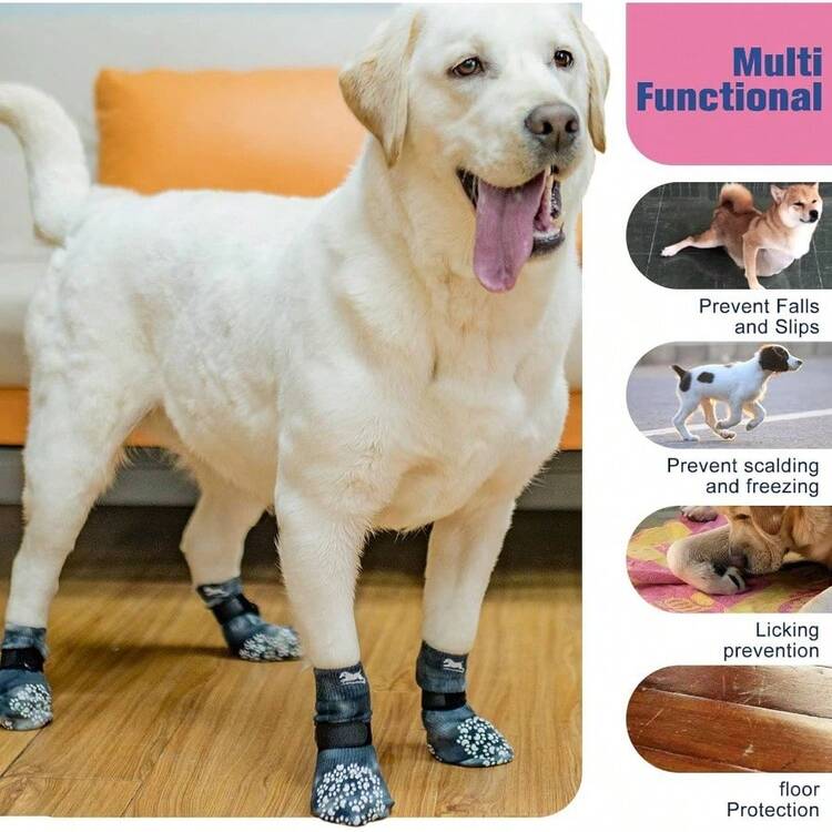 Pet Socks - Trung bình + Xanh dương và Hồng - Xem 7