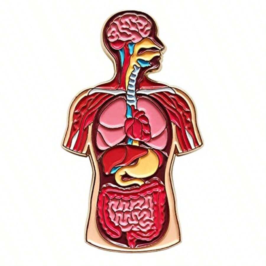 Pinsanity Pin de solapa esmaltado de anatomía humana - como en la foto - Ver 1
