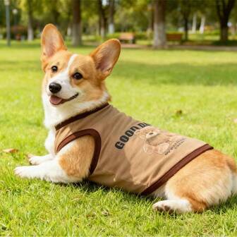 色彩鲜艳的休闲宠物服装，小熊图案背心，适合猫狗穿着，包括泰迪犬、博美犬、吉娃娃等。