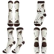 Talla única + chocolate (Chocolate Lab)