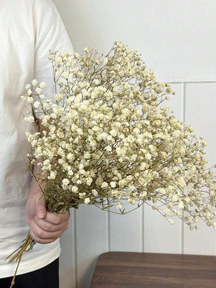 40/70/100克天然干满天星花束，清新白色满天星花束，适用于干花展示、DIY插花、花瓶填充、家居装饰、婚礼、情人节和新年装饰。 - 白色 - 查看 1