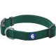 Verde frondoso