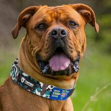 Collares de Perro Premium Collar de Perro con Asa y Hebilla de Metal de Liberación Rápida Resistente, Grueso y Ajustable para Perros Medianos a Grandes (Estampado de Leopardo L) - Camuflaje Cian - Ver 5