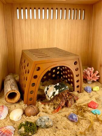 Hermit Crab Hideaway House | Hermit Crab Climbing Tank Decor Cave | Hiding Habitat Decor Accessories Toys Ornaments Climbing Toy (Suitable As An Interesting Gift For Pets)