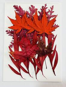 15 Pieces Dried Pressed Leaves Dried Flowers For Resin Real Assorted Dried Greenery For Pressed Leaf Art Craft DIY Handmade Bookmarks Embellishment Decorations