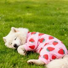 Ropa nueva para mascotas, pijamas para gatos y perros, adecuados para perros medianos y pequeños como Teddy, Pomerania, Chihuahua, con estampado de abeja y fresa - Rosa Pálido - Ver 5