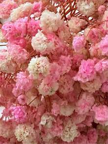 20/50/100/150/300Pcs Mini Breath Flowers And Other Dried Flowers - For Resin Mold Art Craft, Ivory White Flowers Bouquet For Hair Accessory, Wedding Wreath, Table Vase, Home Decor