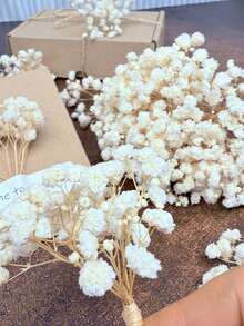 25/50/100/300pcs Mini Gypsophila & Other Dried Flowers - For Resin Mold Art And Handicrafts, Ivory White Bouquet For Hair Accessories, Wedding Wreaths, Tabletop Decor, Home Decoration - Beige - View 5