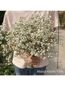 40/70/100克天然干满天星花束，清新白色满天星花束，适用于干花展示、DIY插花、花瓶填充、家居装饰、婚礼、情人节和新年装饰。 - 白色 - 查看 3
