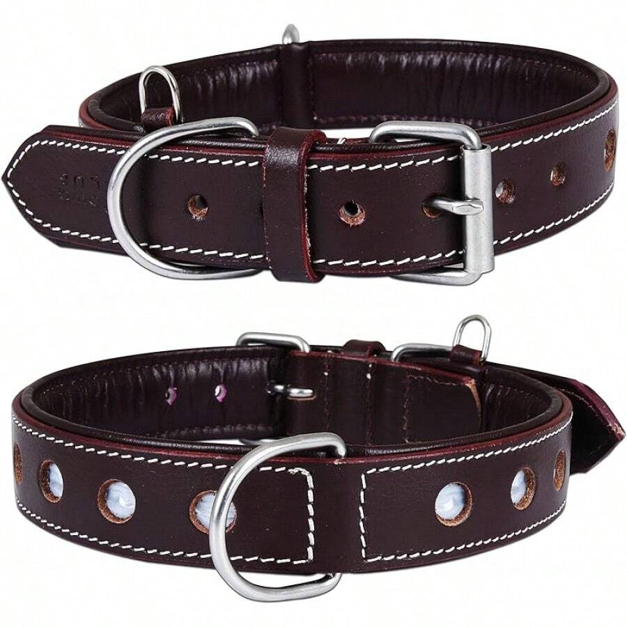 Pet Basic Dog Collars - Garnet - View 1