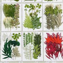 15 Pieces Dried Pressed Leaves Dried Flowers For Resin Real Assorted Dried Greenery For Pressed Leaf Art Craft DIY Handmade Bookmarks Embellishment Decorations