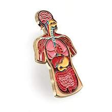 Pinsanity Pin de solapa esmaltado de anatomía humana - como en la foto - Ver 5