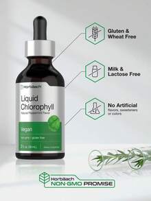 Horbäach Liquid Chlorophyll Drops | 2 Oz | Vegan, Non-GMO, And Gluten Free Formula | Natural Peppermint Flavor - 2pcs - 查看 3