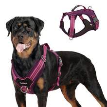 中/大型犬战术胸背带，带手柄和牵引绳扣，可调节反光带，便于训练和遛狗时控制 - 彩色 - 查看 27