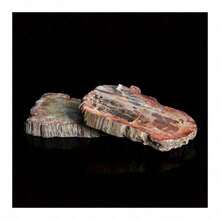 Unique Madagascar Silicified Wood Fossil Specimen - Natural Stone With Guardian Energy, Promoting Long-Lasting Vitality And Youthfulness - Ideal Gift For Any Occasion - 1pc Random - View 5