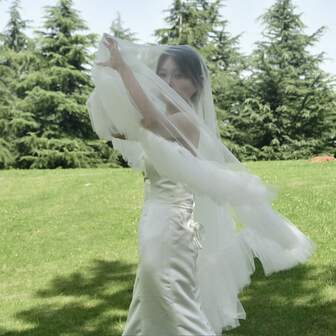 1pc European & American Style Bridal Veil, 3D Ruched Puffy Veil Accessory For Wedding Ceremony