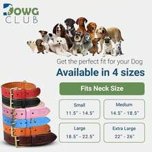 Collar de Cuero para Perros Medianos, Marrón, 1 Pulgada de Ancho, Cuero Genuino de Grano Completo, Resistente con Acolchado Interior Suave, Cómodo y Duradero (Mediano (Ajuste para Cuello de 14.5-18.5), Marrón) - Rosa ruborizado - Ver 4