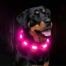 1pc Rechargeable Pet Luminous Collar, 4 Modes: Steady On, Fast Flashing, Slow Flashing, Rolling, Suitable For Pets' Nighttime Outings, Can Be Cut To Fit - Multicolor - View 7
