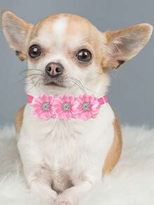 3 piezas Corbata de moño decorativa de color rosa rojo para mascotas, elementos creativos con flores y amor, regalos elegantes y de alta gama para mascotas, perfectos para decoración de mascotas en bodas, Año Nuevo, cumpleaños y fiestas de propuesta, con estilos aleatorios - Multicolor - Ver 7