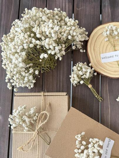 25/50/100/300pcs Mini Gypsophila & Other Dried Flowers - For Resin Mold Art And Handicrafts, Ivory White Bouquet For Hair Accessories, Wedding Wreaths, Tabletop Decor, Home Decoration