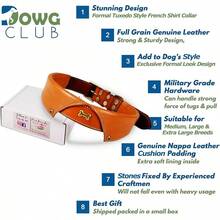 Pet Basic Dog Collars - Shirt Collar - Tan - View 2