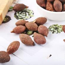 1pc 90g/120g/150g/180g/210g Artificial Decorative Dried Plants, Home Fragrance Accessories, Suitable For DIY Handmade Crafts, Art Fragrance, Candle Decorations, Soap Decorations, Living Room, Bedroom, Office, Cafe Decor, Suitable For All Holidays And Party Decorations