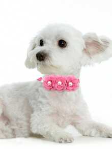 3 piezas Corbata de moño decorativa de color rosa rojo para mascotas, elementos creativos con flores y amor, regalos elegantes y de alta gama para mascotas, perfectos para decoración de mascotas en bodas, Año Nuevo, cumpleaños y fiestas de propuesta, con estilos aleatorios - Multicolor - Ver 8