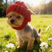 1顶防滑弹力保暖针织宠物帽，防风柔软宠物耳罩头带，适合猫、狗、兔子等宠物在秋冬季节佩戴，是新年、圣诞节的理想之选。 - 彩色 - 查看 8