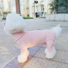 Warm Clothing Suitable For Autumn And Winter, Dog Clothes, Four-Legged Outfits, Turtleneck Sweaters, Teddy Bear Clothes, Bichon Frise Clothes, Pomeranian Clothes, Small Dog Pet Clothes, Autumn And Winter Clothes - Watermelon Pink - View 15
