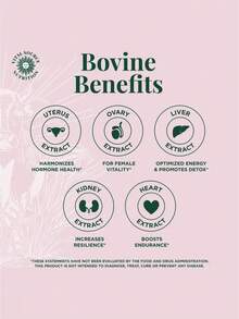 BiFi Primal Health Blend Capsules Dietary Supplement For Women Supports Hormonal Balance Boosts Daily Energy Sharpens Mental Clarity 60 Capsules Premium Vital Source Nutrition Formula For Vitality And Well Being - - - 查看 2