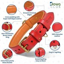 Pet Basic Dog Collars - Red - View 3