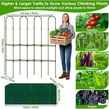 61-Inch Tall Metal U-Frame Cucumber Trellis For Climbing Plants With Grow Bag And Garden Netting Ideal For Raised Beds And Vertical Gardening Includes Plant Clips And Ties For Vegetables Squash Peas Grapes And Other Climbing Vines - 綠色 - 查看 6