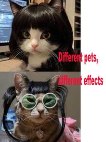 Cute Short Pet Wigs, Fun Pet Wig Accessories, Suitable For Cats And Dogs, Creative Pet Supplies, Summer Gifts, Cat Supplies, Pet Supplies, Dog Grooming Sets, Pet Supplies, Puppy Toys (Pet Appearances May Vary, DIY Skills Required).