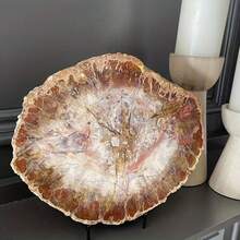 Unique Madagascar Silicified Wood Fossil Specimen - Natural Stone With Guardian Energy, Promoting Long-Lasting Vitality And Youthfulness - Ideal Gift For Any Occasion - 1pc Random - View 9