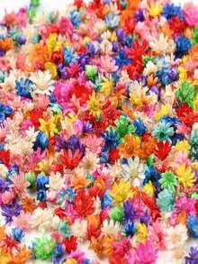Mini Dried Flowers Are Used For Resin, Small Dried Flowers For Handicrafts, Resin Nails, Bulk Purchase, For Handicraft Making, DIY Epoxy Resin Accessories, Jewelry, Earrings, Soap Making, Candle Making, Etc - Mixed Colors - View 5