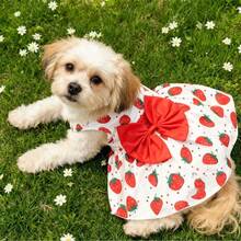 狗狗衣服、快乐小狗、狗狗服饰、狗狗、狗狗服装、猫咪衣服、吉娃娃狗狗衣服、宠物连衣裙、狗狗衣服、猫咪连衣裙、公主裙、服装