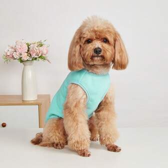 1pc Thermal-Lined Pet Sweatshirt Vest, Suitable For Small To Medium Cats And Dogs In Autumn And Winter