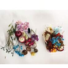 Flores naturales secas y coloridas para manualidades de resina epoxi, ramos, guirnaldas, velas, decoración del hogar y bodas - Multicolor - Ver 5