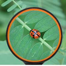 两副60毫米/90毫米10倍手持放大镜，防碎阅读放大镜，真玻璃材质，带防滑橡胶手柄，适用于阅读、爱好和科学研究。 - 彩色 - 查看 9