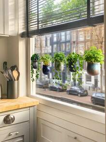 1 Peça Adesivo de Janela com Planta em Vaso Verde Pendurada, Adesivo de Janela com Planta Verde Tropical, Adesivo de Parede Removível com Cenário de Vaso de Cacto e Borboleta, Adesivo Decorativo Autocolante, Adequado para Decoração de Parede do Quarto, Sala de Estar, Escritório, Cozinha, Decoração Doméstica - Multicolorido - Visão 5