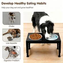 1个高架狗食盆，可折叠设计，4档高度可调，包含2个不锈钢碗，防滑，适合中大型犬。