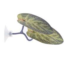 Simulated Lotus Leaves Frog Platform Habitat Suction Cup Artificial Leaf Betta Fish Rest Spawning Ornamental Plant Betta Fish Play Relax Hide Leaf - A - View 14