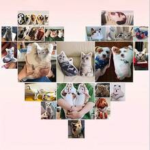 Personalized 3D Printing Pet Pillow - Customized Photo Double-Sided Design, Suitable For Soft Cushions For Dogs And Cats, Perfect For Home Decoration And Gifts. Personalized Pillow Customization For Preschool Toys, Family, Friends, Birthdays - Nhiều màu - Xem 7