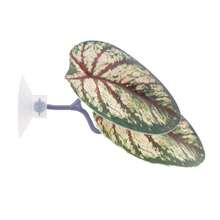 Simulated Lotus Leaves Frog Platform Habitat Suction Cup Artificial Leaf Betta Fish Rest Spawning Ornamental Plant Betta Fish Play Relax Hide Leaf - A - View 36